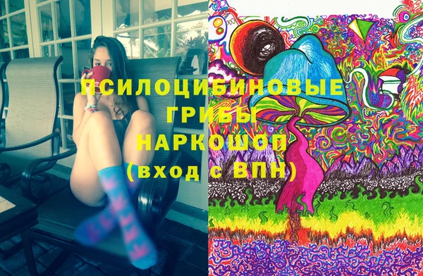 хмурый Бронницы